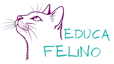 Educa Felino